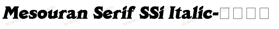 Mesouran Serif SSi Italic字体转换